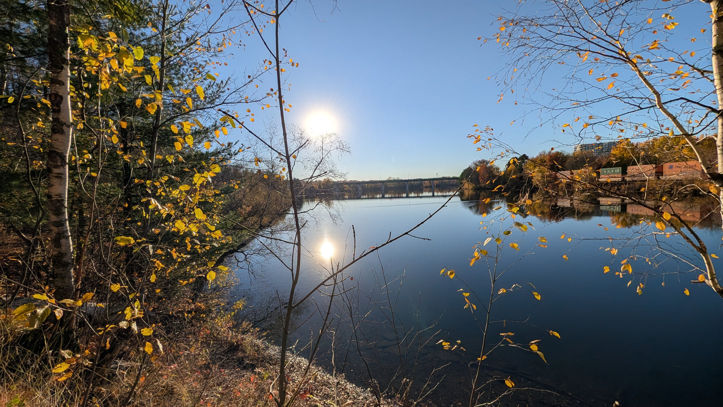 2026-10-21 16:28 (Vue 2)