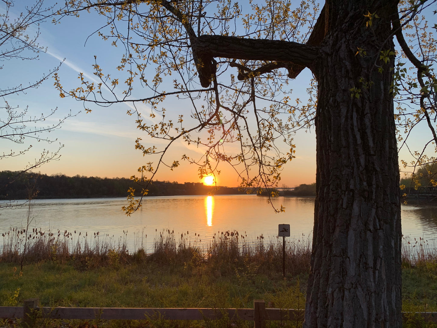 15 Mai 2021 Sur Le Bord Du Lac (6 Photos)