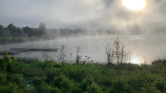 24 Mai 2021 Lever Du Soleil Au Lac