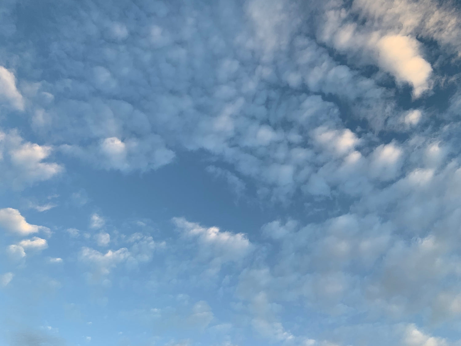 La Tête Dans Les Nuages 30 Mai 2021