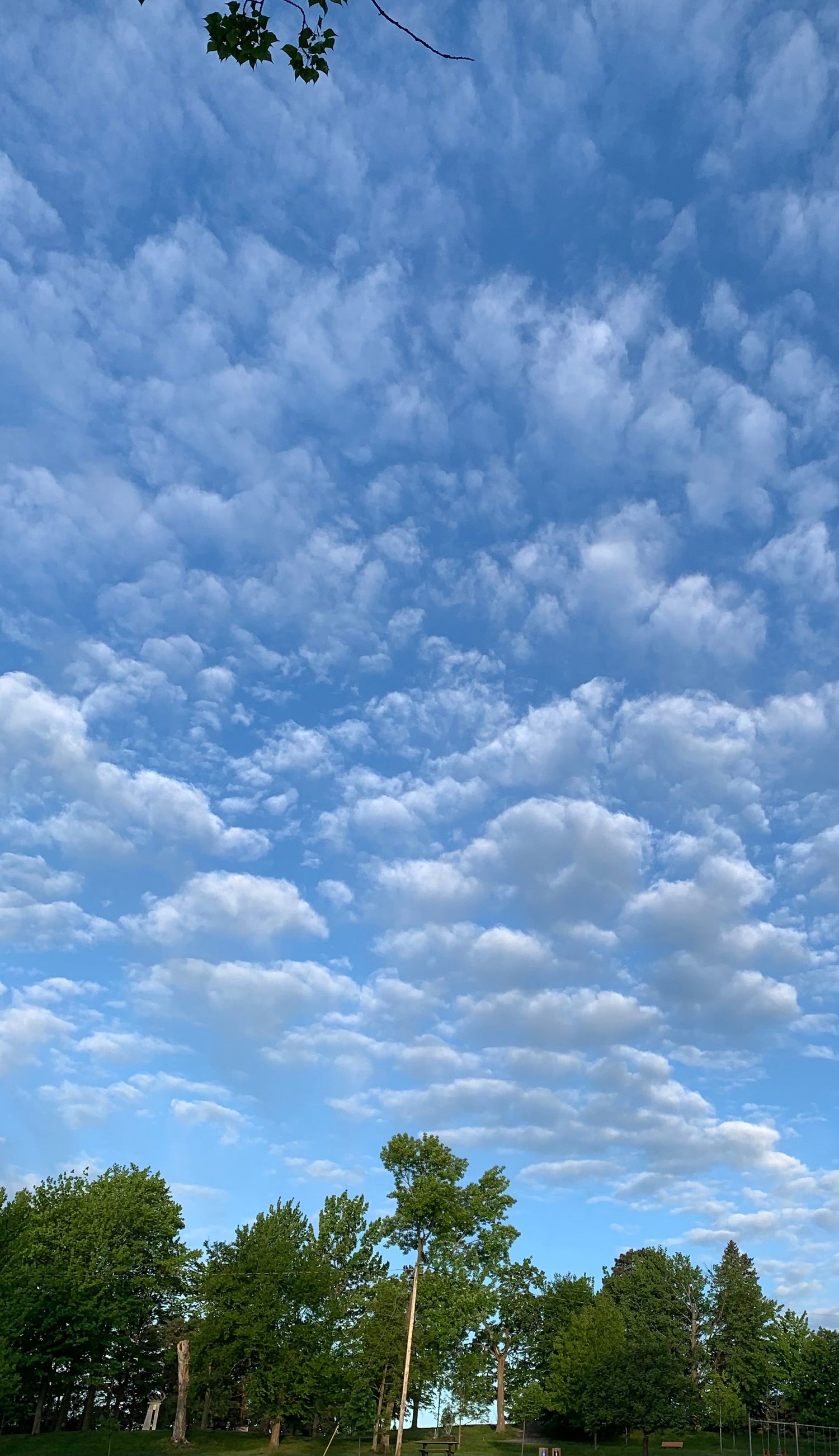 30 Mai 2021 La Tête Dans Les Nuages