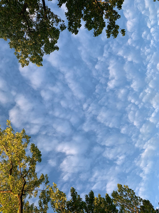 Doux Nuages 30 Mai 2021