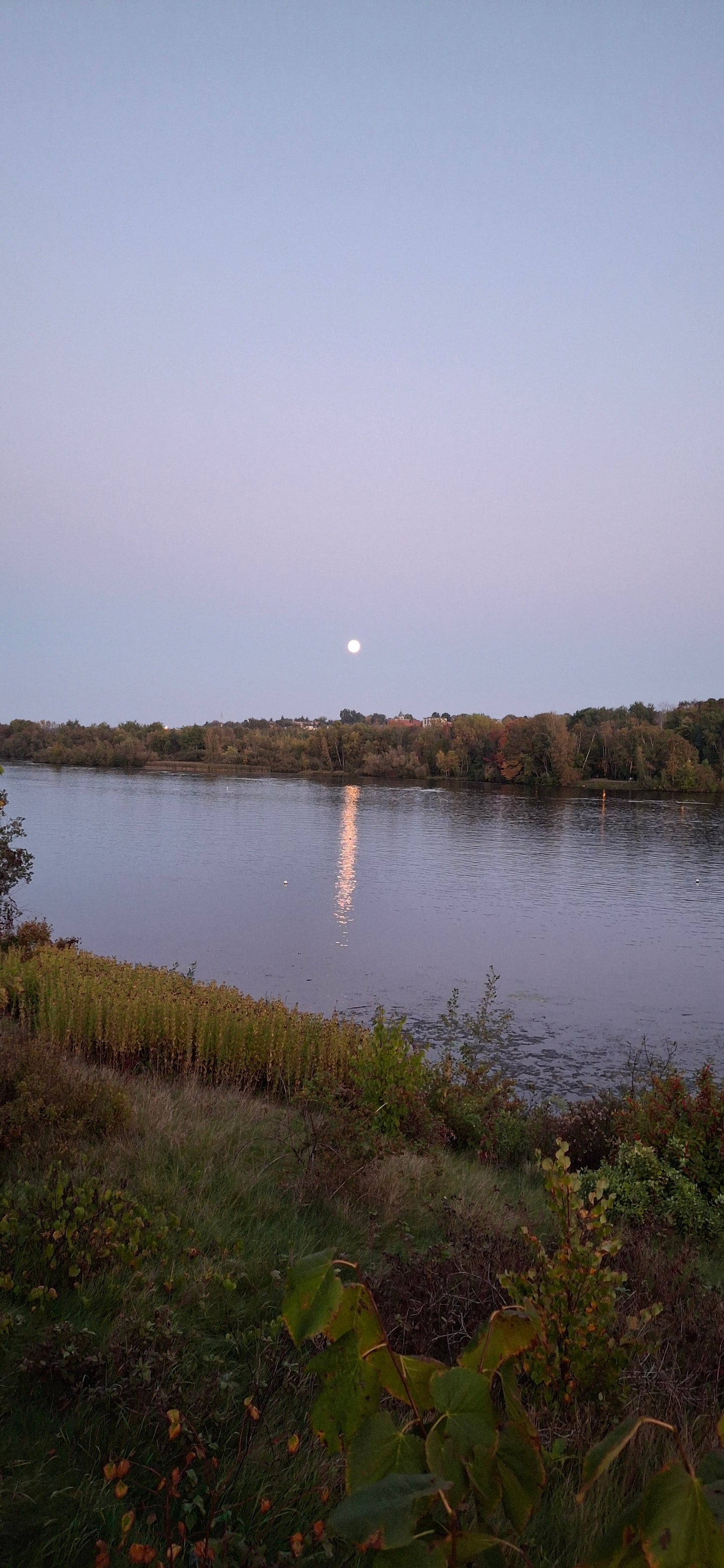 2024-09-16 19:19 (Vue Lune)